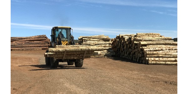 wood prices going up